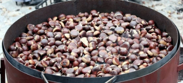 «Γιορτή Κάστανου 2013»: 550 τόνοι κάστανα ετησίως από το Πήλιο