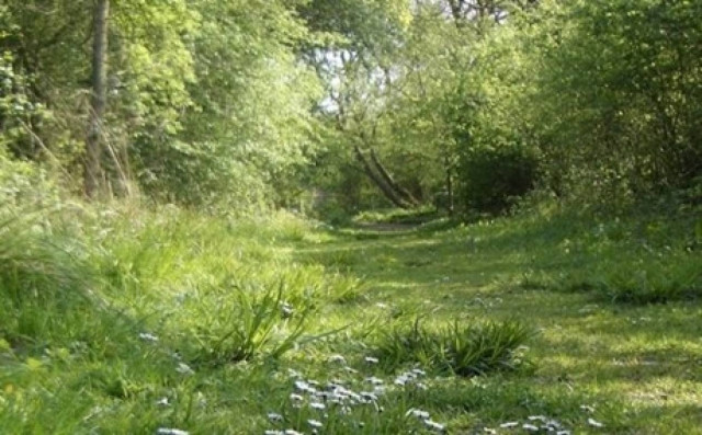 ΣΟΚ: Έκανε την... ανάγκη του στο δάσος και δείτε τι έπαθε!