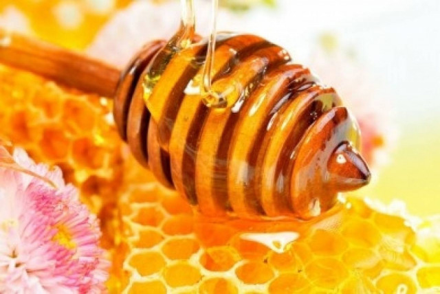 Βυτίνα: Τετραήμερο φεστιβάλ μελιού από σήμερα