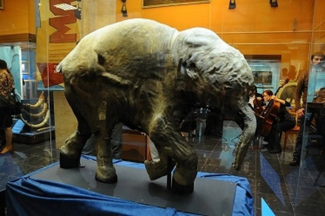 Στη Μόσχα μεταφέρθηκε το παγκοσμίως γνωστό μαμούθ