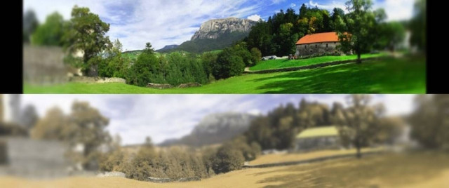 Πώς  βλέπουν οι γάτες τον κόσμο;