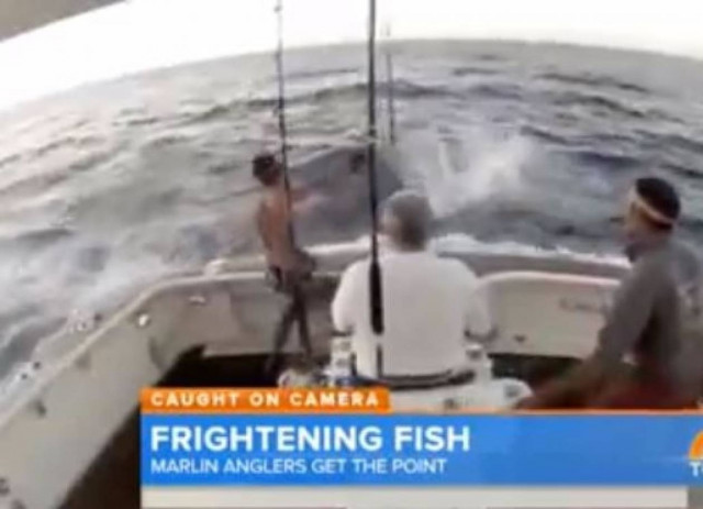 Ψαράς βουτά στη θάλασσα για να γλιτώσει από ξιφία