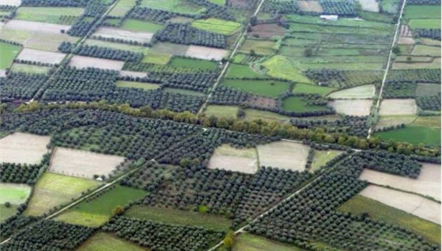 Αγρότες Πελοποννήσου: Απαράδεκτος ο φόρος στα χωράφια