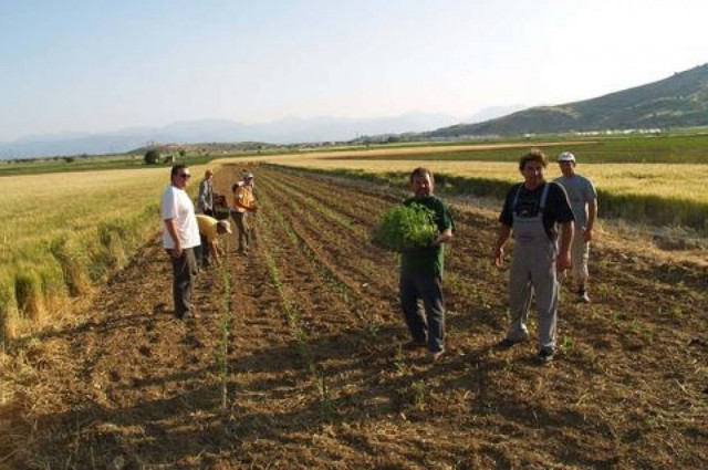 Τρίκαλα: Αγρότης βρήκε αρχαίο «θησαυρό» στο χωράφι του!