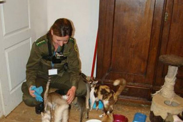 ΦΡΙΚΗ: Σύγχρονος Δρ. Φρανκενστάιν ήθελε να φτιάξει νέο είδος ζώου