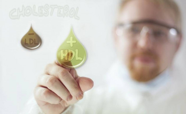 Χοληστερίνη: Πως πέφτει η κακή LDL και σε πόσο καιρό