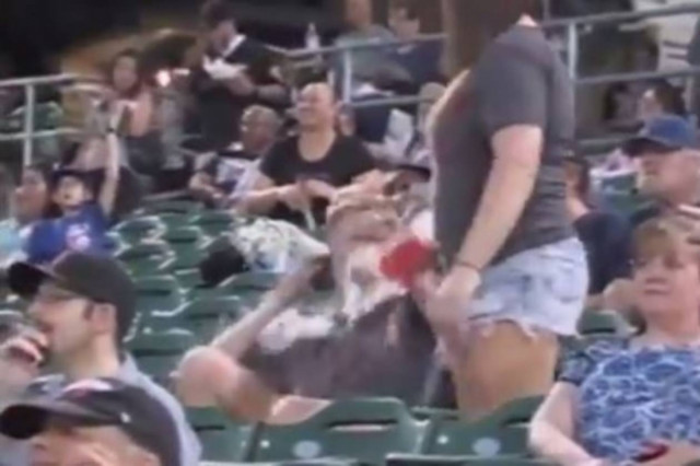 Απίστευτο βίντεο: Δεν τη φίλησε το αγόρι της και το μπουγέλωσε