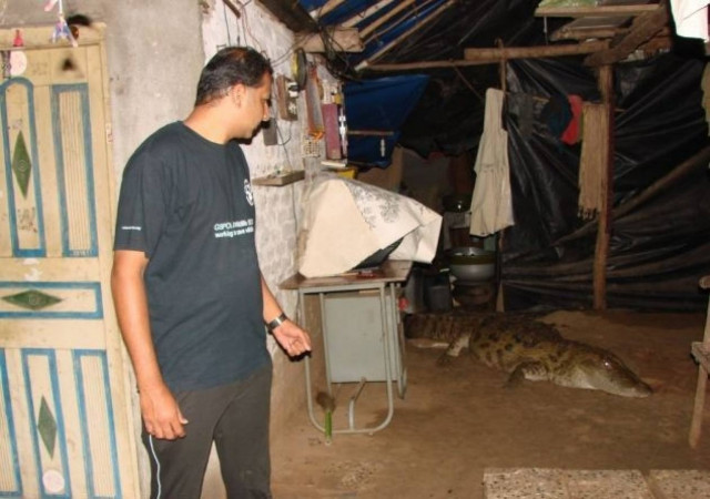 ΤΡΟΜΟΣ: Ξύπνησαν μέσα στη νύχτα και είδαν δίπλα τους έναν τεράστιο…