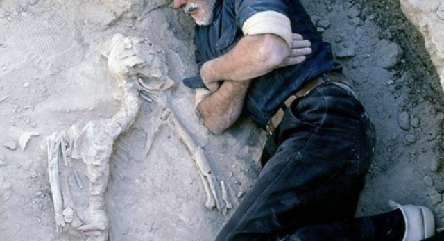 ΣΟΚ: Άστεγος ζει εδώ και 13 χρόνια στον τάφο του καλύτερού του φίλου