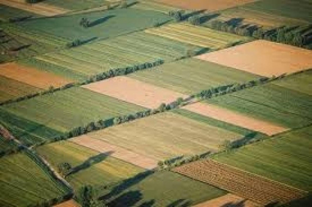 Επιστολή 5 βουλευτών της ΝΔ στον Στουρνάρα για τα αγροτεμάχια