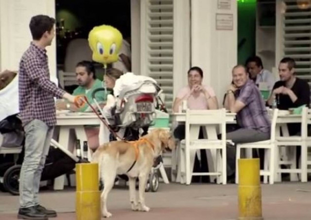 Βίντεο: Αόρατοι ιδιοκτήτες σκύλων