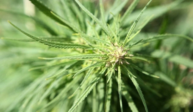 Βρετανικό Channel 4: Reality show για τοξικομανείς