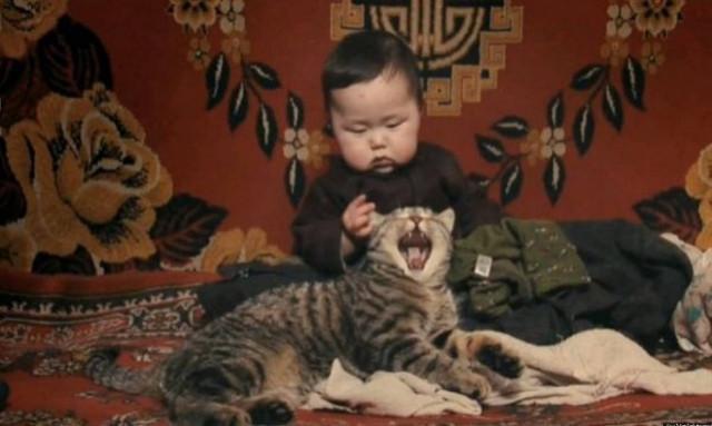 Παιδιά και ζώα: Μία σχέση τρυφερή! (βίντεο)