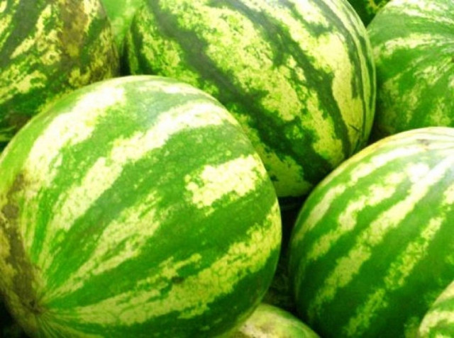 Τι παθαίνει το καρπούζι όταν το διαπεράσει ηλεκτρικό ρεύμα;