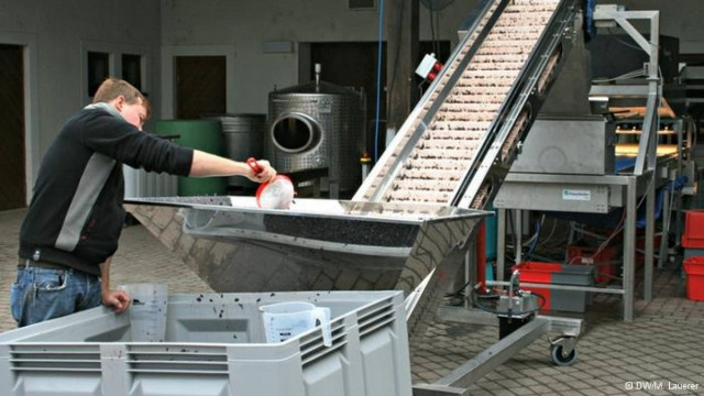 DW: Νέα μηχανή διαλογής για…καλά κρασιά