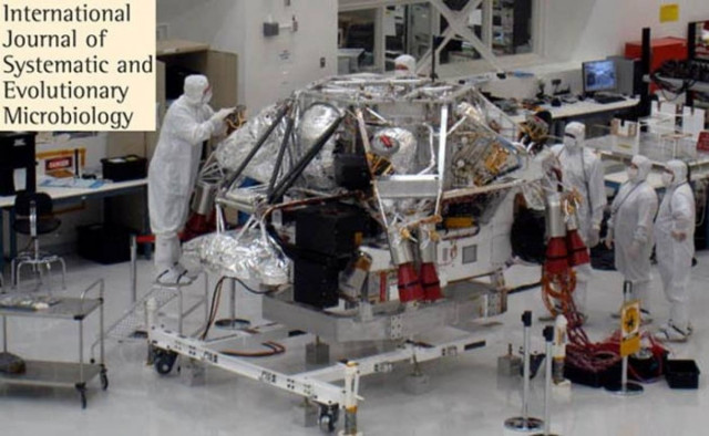 Δύο νέα "εξωγήινα" βακτήρια εντοπίστηκαν σε εργαστήρια της NASA