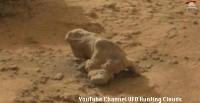 Ιγκουάνα στον Άρη; Βίντεο