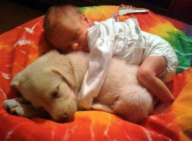 Τρυφερές στιγμές με τον καλύτερο φίλο του ανθρώπου (pics)