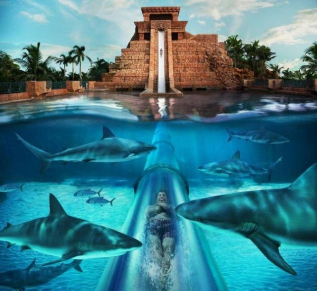 Δείτε την πιο τρομακτική νεροτσουλήθρα του κόσμου (pics)