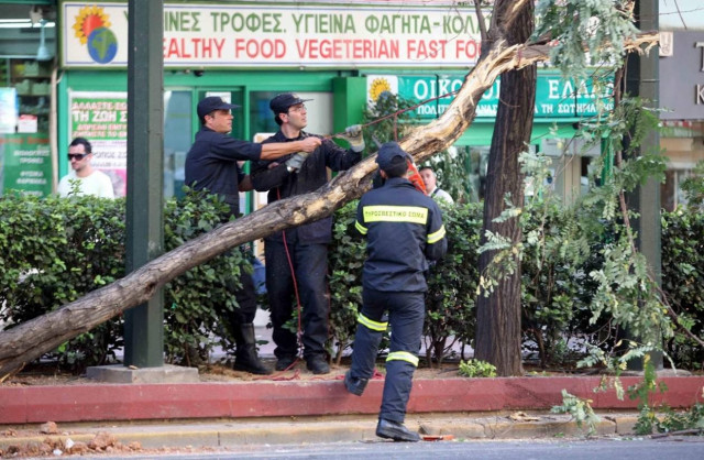 ΤΩΡΑ: Διακοπή κυκλοφορίας στη Μιχαλακοπούλου λόγω πτώσης δέντρου
