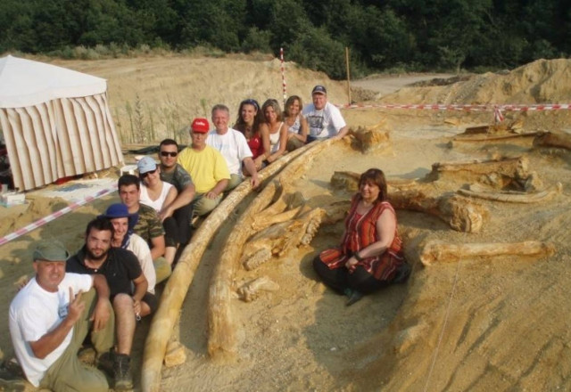 Διεθνές βραβείο στην παλαιοντολόγο Ευαγγελία Τσουκαλά