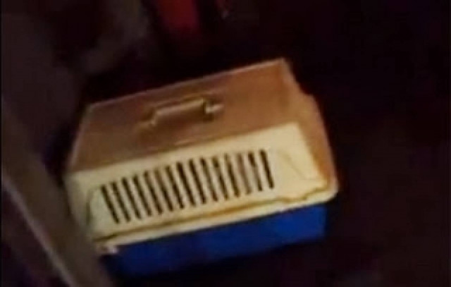 Αλεξανδρούπολη: Ο... σκύλος έστειλε στο αυτόφωρο τον οδηγό του ΚΤΕΛ