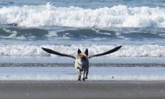 ΔΕΝ είναι φωτομοντάζ: Η φωτογραφία που σαρώνει στο διαδίκτυο