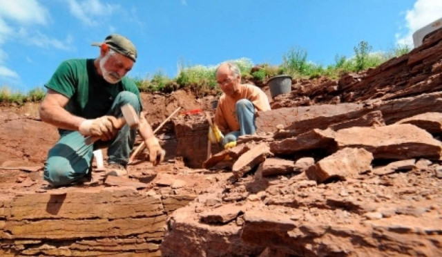 Μικρά τελετουργικά αγαλματίδια από χρυσό βρήκαν οι Σουηδοί