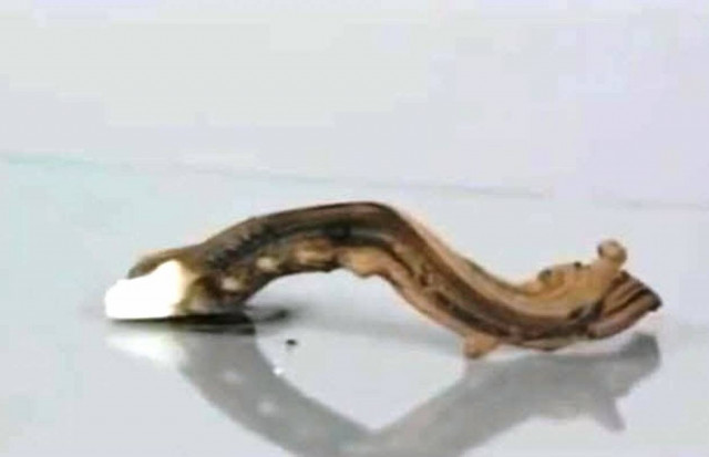 Απίστευτο πείραμα με θειοκυανικό υδράργυρο! (βίντεο)