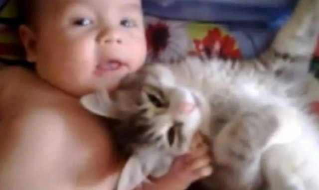 Τι κάνει μία γάτα σε ένα μωρό; Δείτε το τρυφερό βίντεο