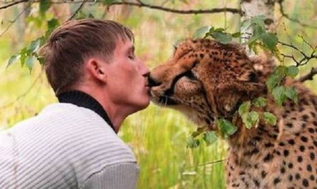 Τι κάνει ένας άνθρωπος όταν έρθει αντιμέτωπος με άγρια ζώα;