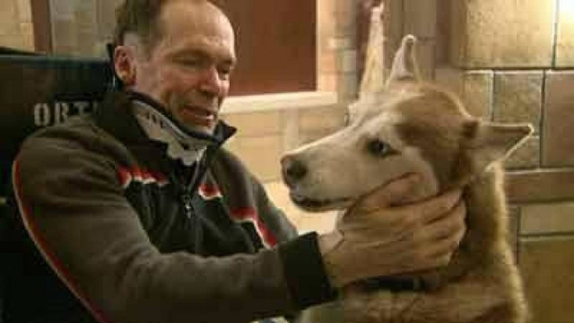 Ο σκύλος του έσωσε τη ζωή - Έπεσε σε γκρεμό και τον απεγκλώβισε