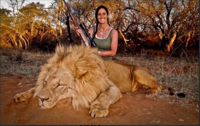 Δημοσιογράφος προκαλεί οργή με την φωτογραφία που ανέβασε στο twitter!