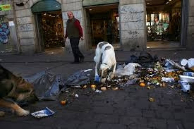 Μαδρίτη: Αρχίζουν να μαζεύουν σκουπίδια μετά από 11 μέρες απεργίας!