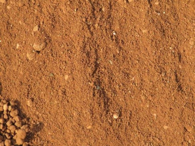 Του απαγόρευσαν να κρατάει τη σύζυγο του θαμμένη στην αυλή τους!