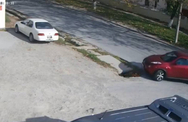 Μπορείς να πέσεις σε λακκούβα σε έναν άδειο δρόμο; Μπορείς! (vid)