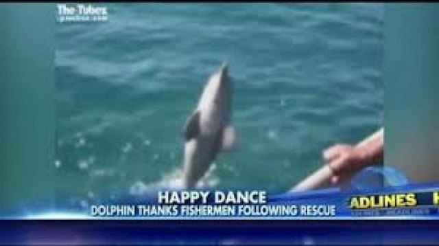 Eκπληκτικό βίντεο: Ένα δελφίνι... «ευχαριστεί» ψαράδες που το βοήθησαν