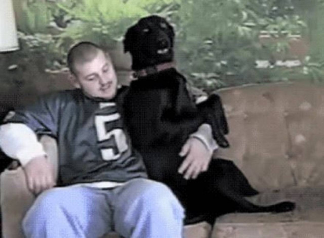 Οι απίστευτες στιγμές των ζώων (pics)