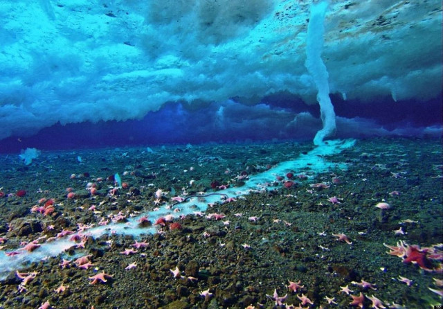 Εντυπωσιακό φαινόμενο: Ο παγοκρύσταλλος του θανάτου!