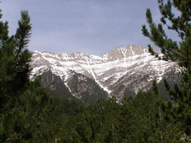 Αγνοείται 18χρονος κτηνοτρόφος στον Όλυμπο
