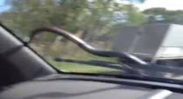 Απόλυτος τρόμος: Δείτε τι βρήκαν στο παρμπρίζ του αυτοκινήτου (vid)