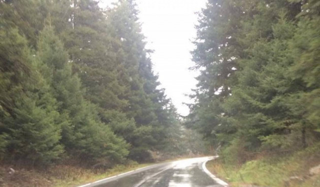 Ποιος βουλευτής της ΝΔ έκανε βόλτα στη βροχή;