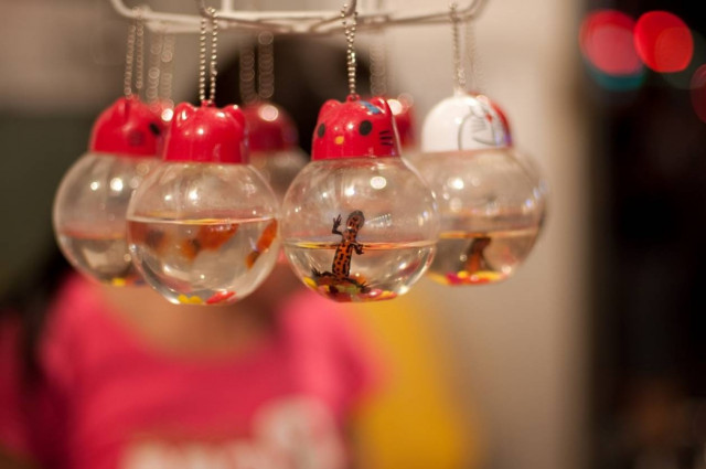 Έλεος! Ας σταματήσει επιτέλους αυτή η φρίκη στην Κίνα!