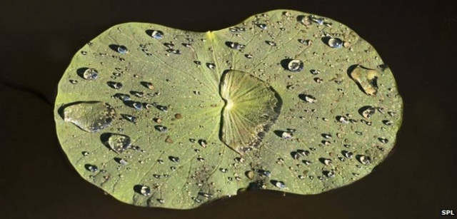 Βίντεο: Αυτό είναι το πιο αδιάβροχο υλικό του κόσμου