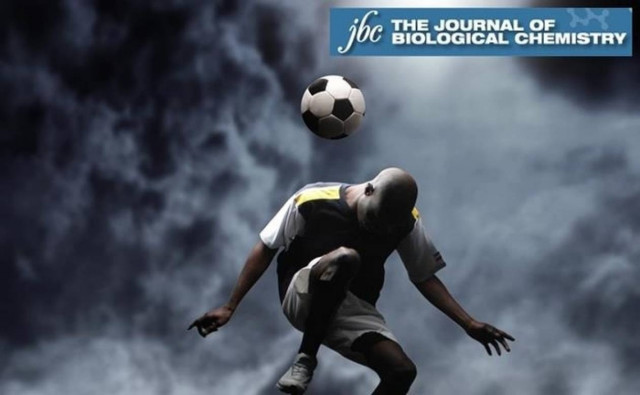 Το Αλτσχάιμερ χτυπά συχνότερα τους αθλητές