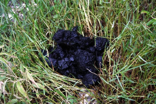 Έπεσε κομμάτι του μετεωρίτη στα Καλύβια Αγρινίου;