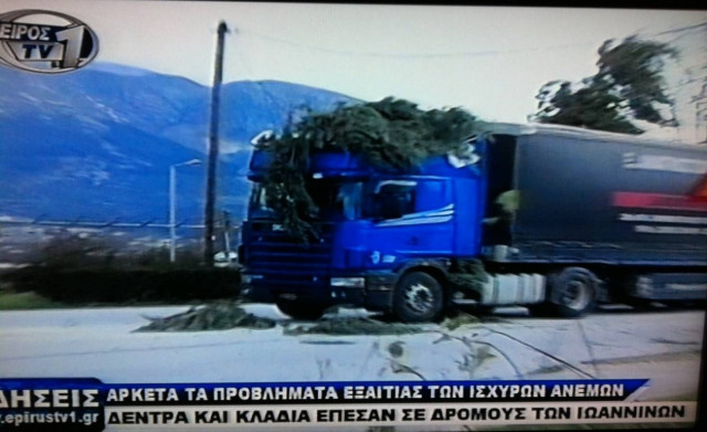 Γιάννενα: Δέντρο έπεσε πάνω σε φορτηγό (pics)