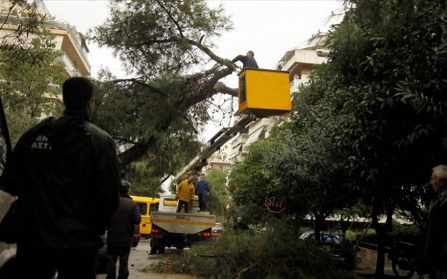Διακοπή κυκλοφορίας σε δρόμους, λόγω της πτώσης δέντρων