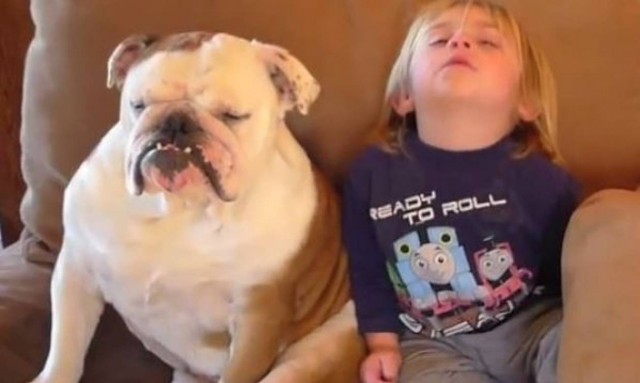 Τι γίνεται όταν ένα παιδί και το σκυλί του νυστάζουν