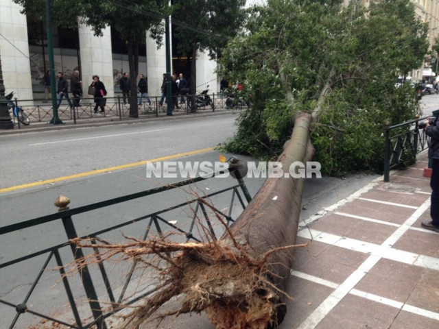 Πτώση δέντρου στη Σταδίου - Ένας τραυματίας (pics+vid)